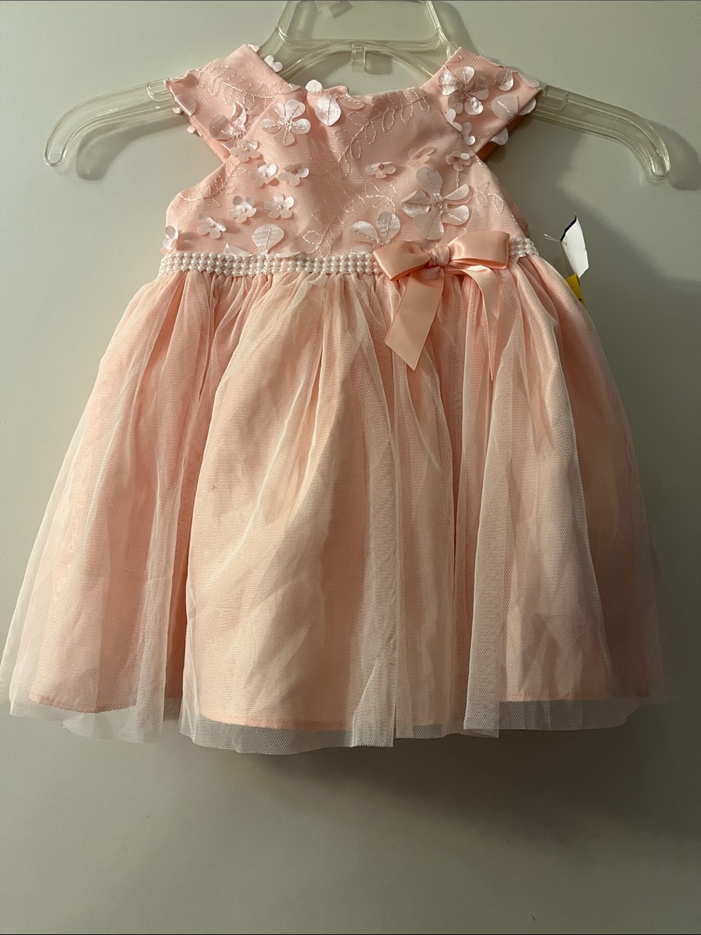 Sweet Heart Rose Peach-Pink Floral Appliqué Tulle Dress